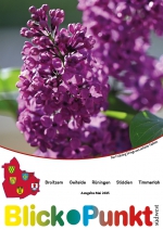 31  -  Mai 2025