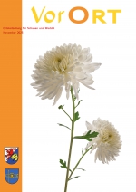 34 - November 2025 34 - November 2025