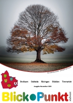 36  -  November 2025