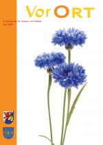 41  -  Juni 2026